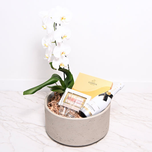 Babe Basket