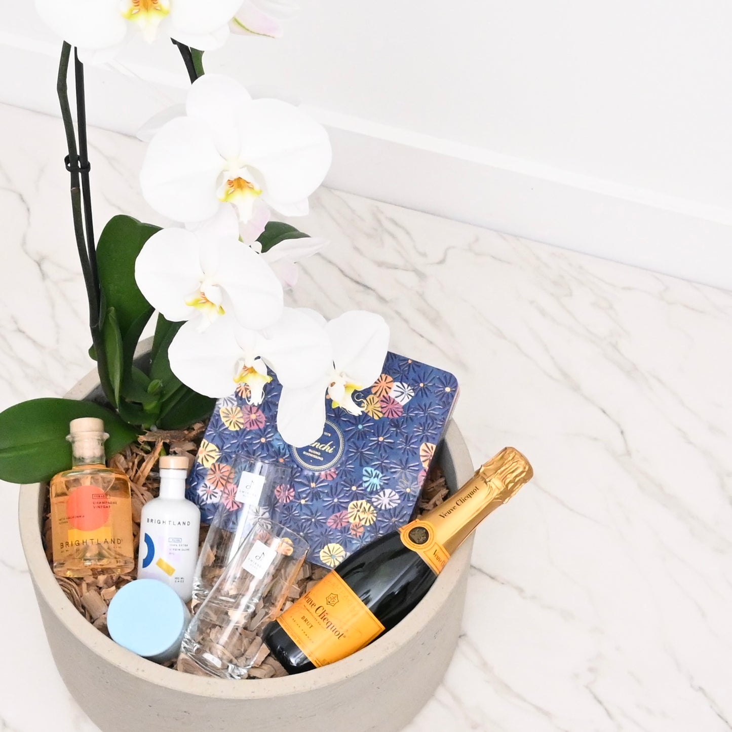 Champagne & Citrus