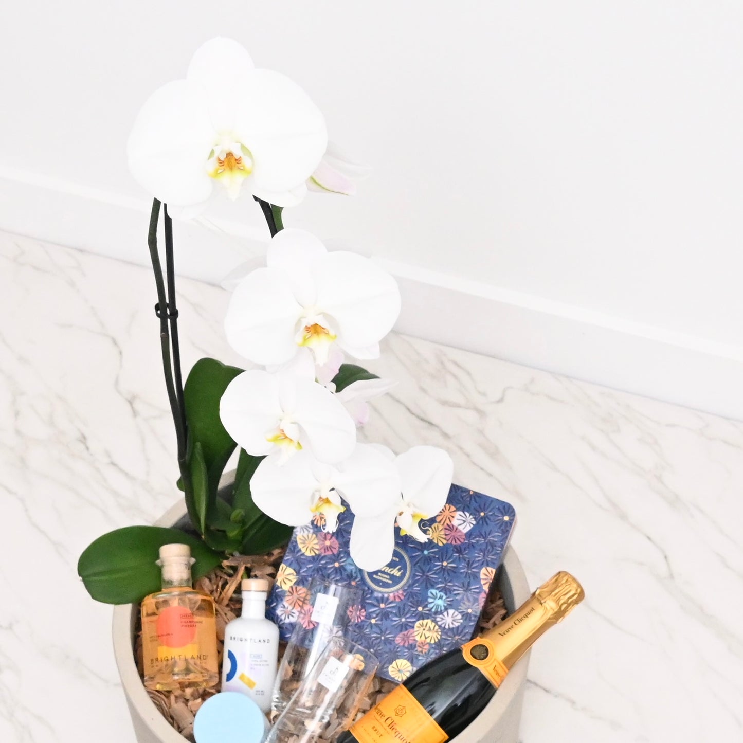 Champagne & Citrus