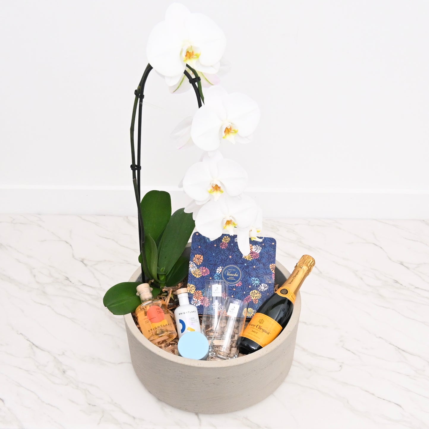 Champagne & Citrus