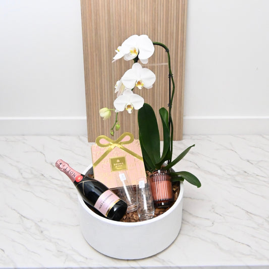 The Moët Rosé Orchid Celebration Gift Bowl